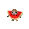 watermelon_rawr