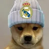 rz_lipe