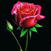 sa_kmabr_97