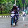 toni_capung