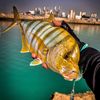 Fishing_TV