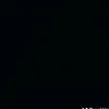 silvaax_mk
