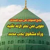 majidhabibi776