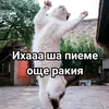 sava83bg