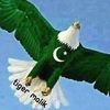 azizmar05