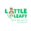 Little Leafy by Cassius