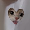 luvcatnotu