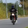 Dino_s51