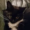littledoyouknowaaaf