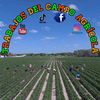 TRABAJOS DEL CAMPO AGRÍCOLA