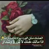 user09141068