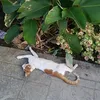 jerryvie_