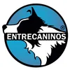 Entrecaninos