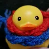 mati__the__duck