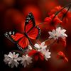 user00031456