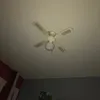 vivimemouni