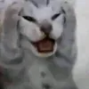 chuoidinhduong