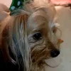 ninacaramelo4