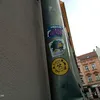 bagsior8