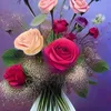 nazsaed