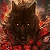 user02562614