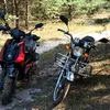dimaval08