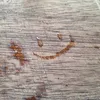 dirt_nutt