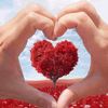 ahmed.apo.raghda