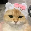 callmecueia