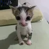 luigikkkjkkk