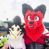 nitroxx.skullfoxx