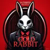 goldrabbit403