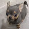 adiel_090