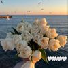 rahoof_4