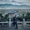 luannguyensunny