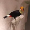 longnosebird