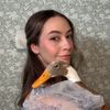 Alexia