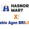 hasnormartxfebiebrilink
