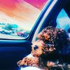 teddyandcinnamon