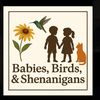 babies.birds.shenanigans
