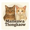 mameaw_thongkaow