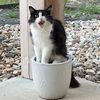 i_will_get_to_that_later