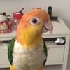 dave_yekun