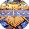 hassein.ali657