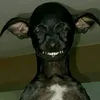 Mee