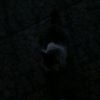 loxim_0