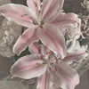 blooming.summer