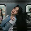 emotional_support_swan