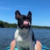 louiesmom22