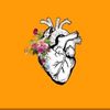 rehab_7isham